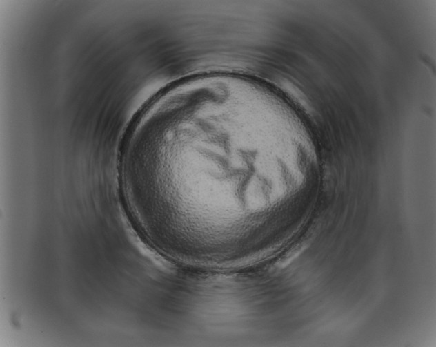 X0000098041038200804251035