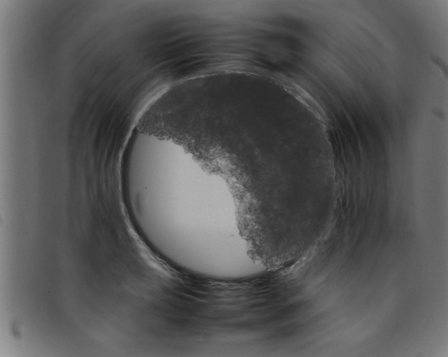 X0000098041039200804251035