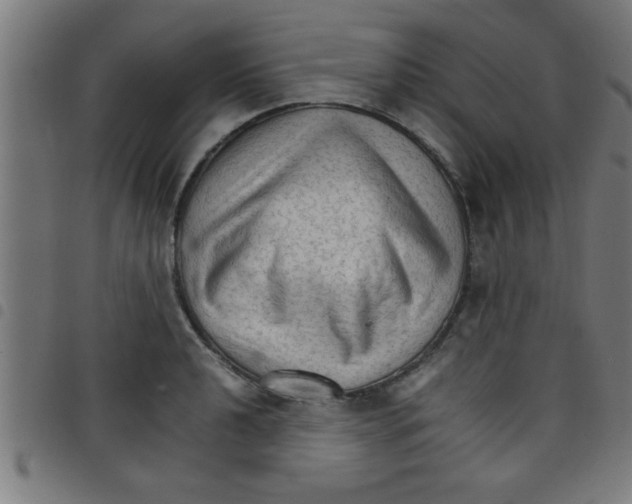 X0000098041040200804251035