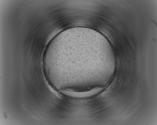 X0000098041042200804251035