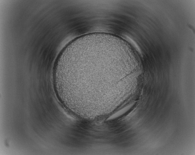 X0000098041043200804251035