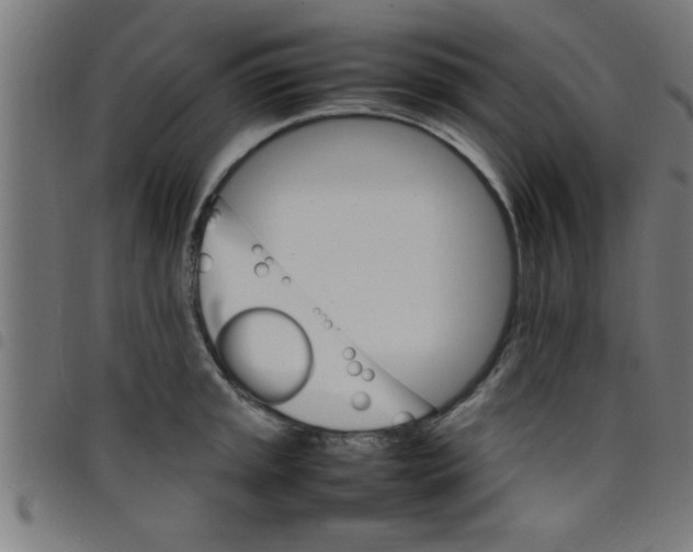 X0000098041045200804251035