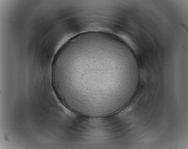 X0000098041046200804251035