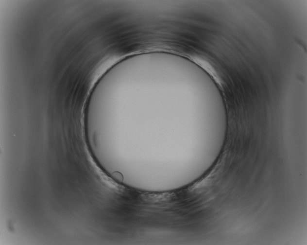 X0000098041047200804251035