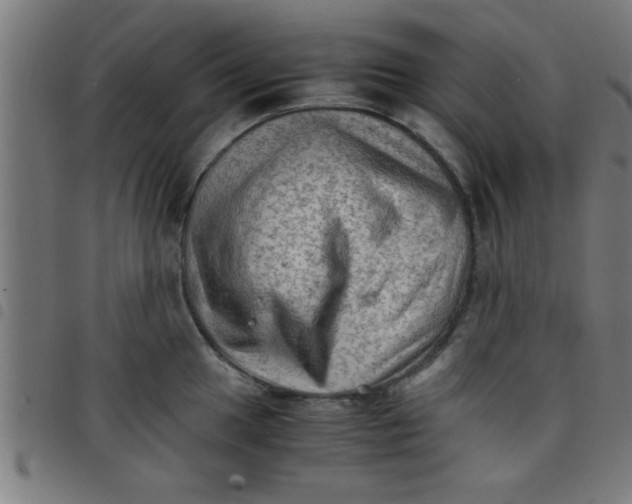 X0000098041049200804251035