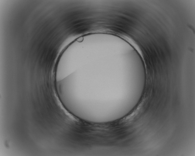 X0000098041053200804251035