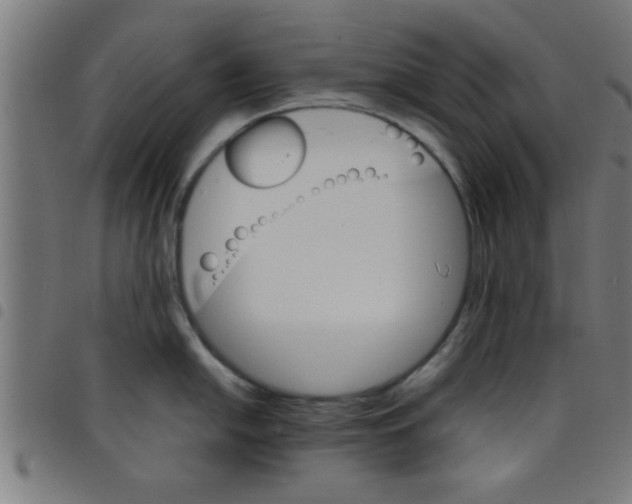 X0000098041054200804251035