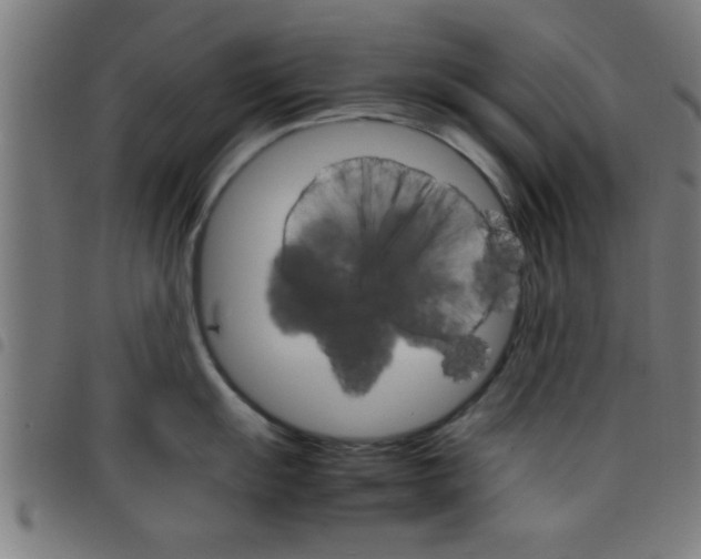 X0000098041055200804251035