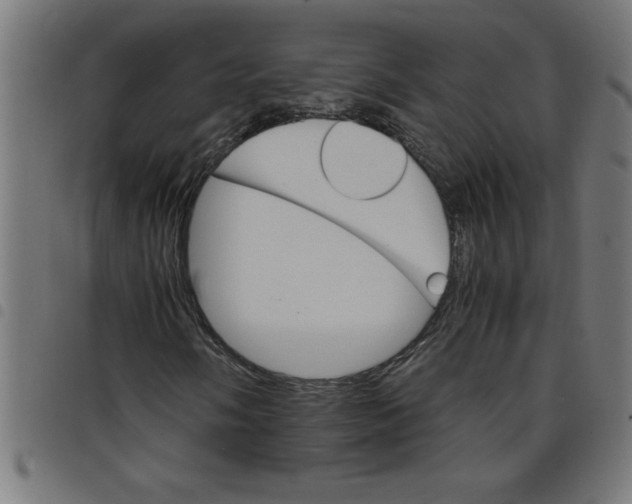 X0000098041058200804251034