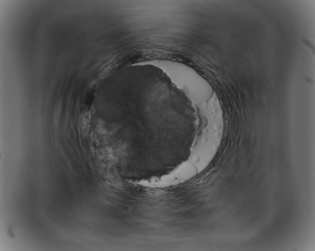 X0000098041059200804251034