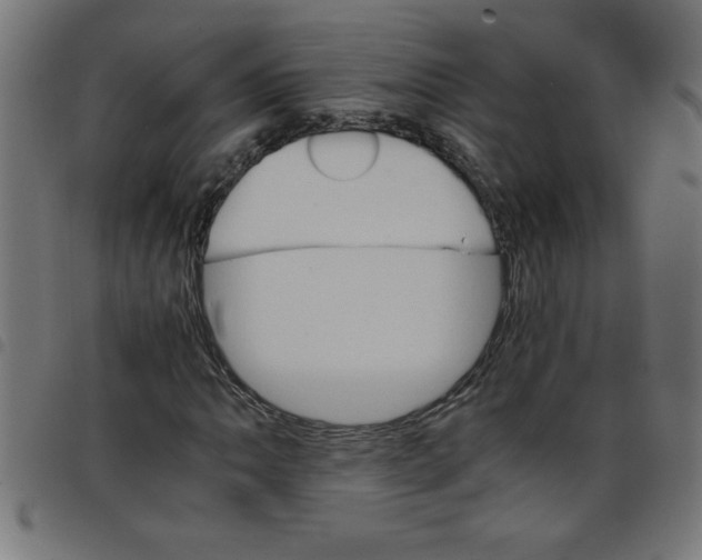 X0000098041062200804251034