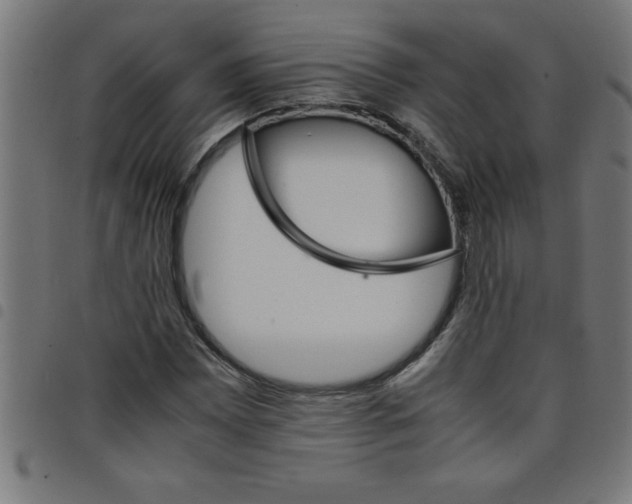 X0000098041065200804251034