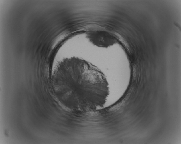 X0000098041067200804251034