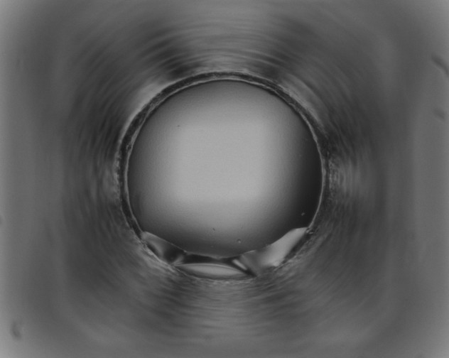 X0000098041068200804251034