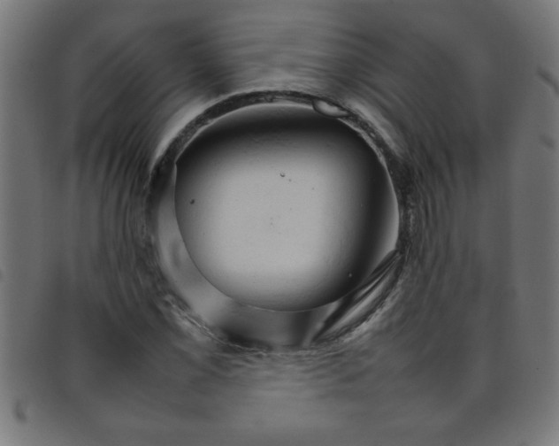 X0000098041069200804251034