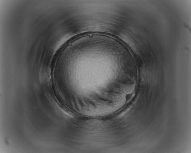 X0000098041070200804251034