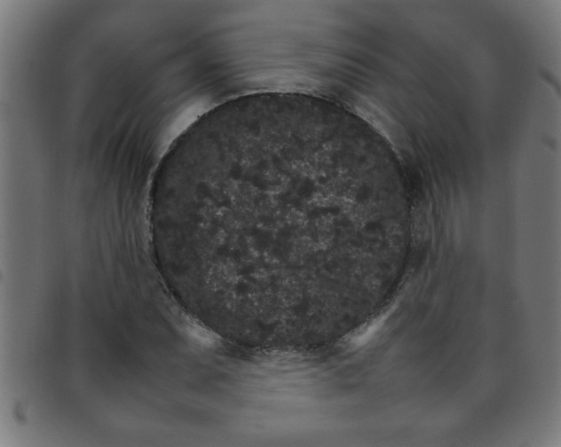 X0000098041071200804251034