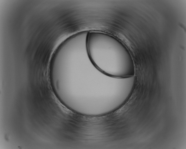 X0000098041072200804251034