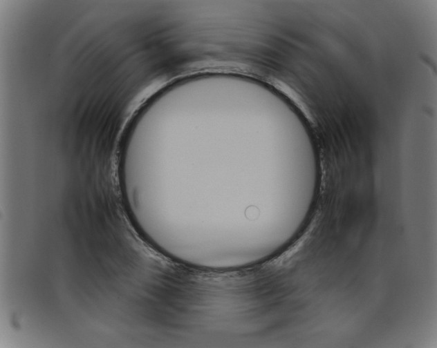 X0000098041074200804251034