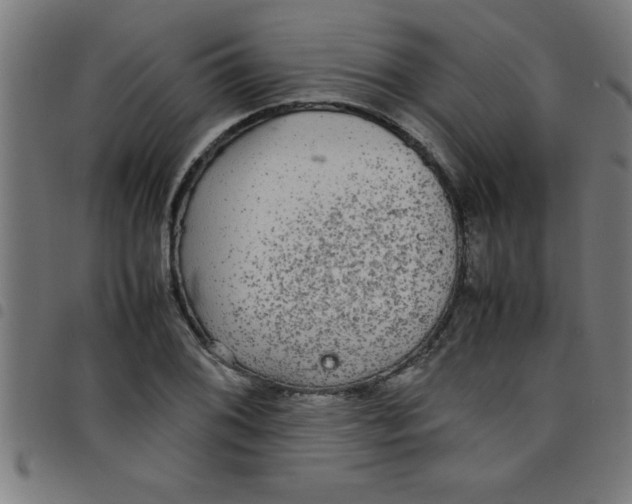 X0000098041076200804251034