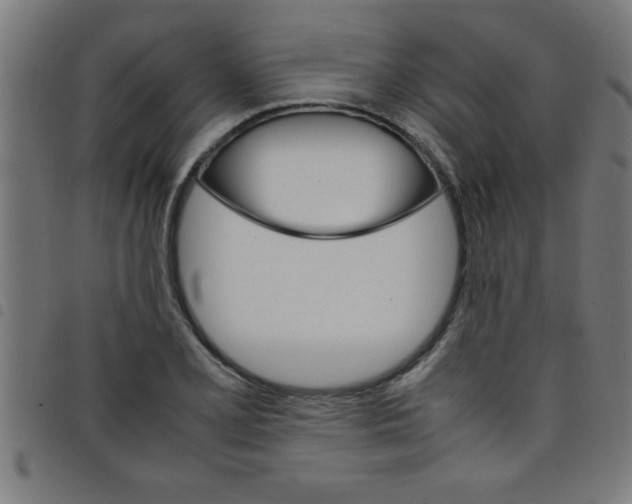 X0000098041077200804251034