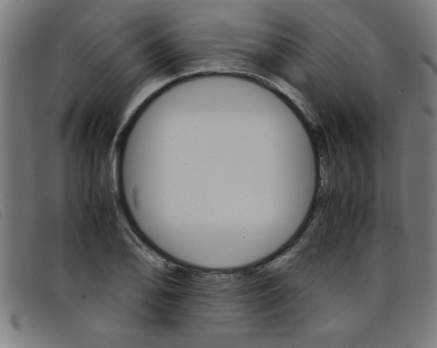 X0000098041078200804251034