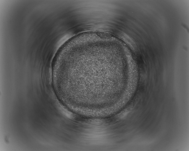 X0000098041079200804251034