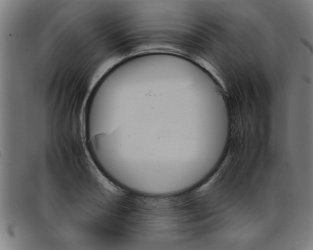 X0000098041082200804251034