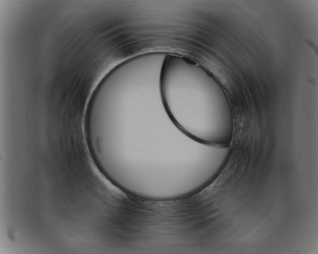 X0000098041084200804251034