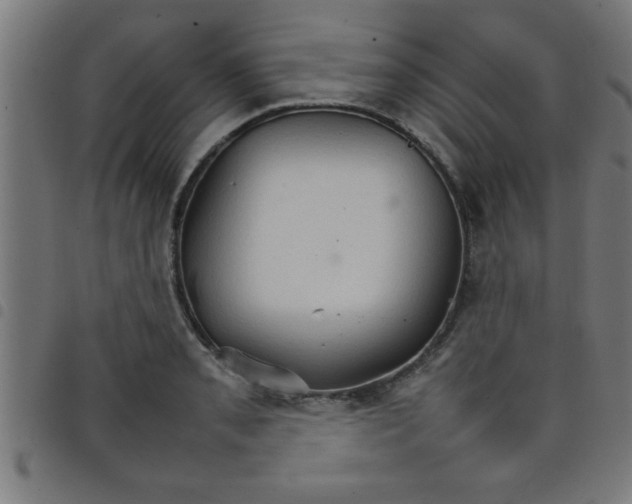 X0000098041085200804251034