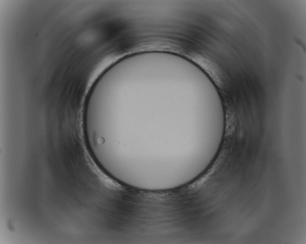 X0000098041086200804251034