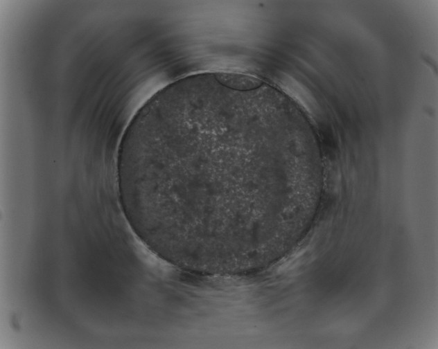 X0000098041087200804251034