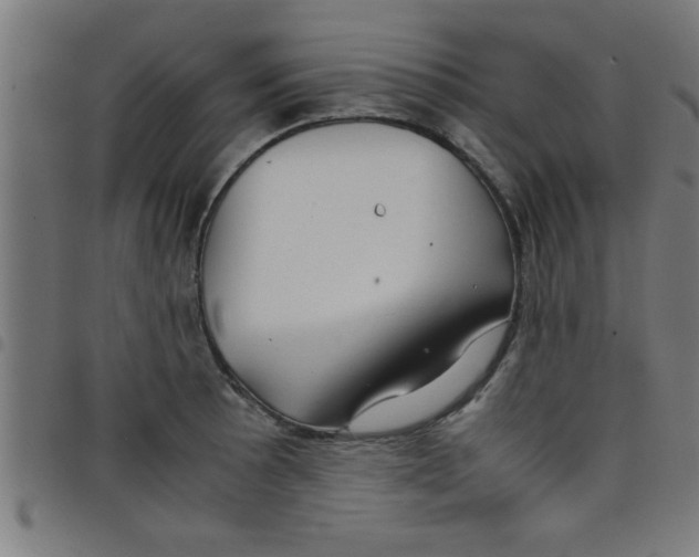 X0000098041089200804251034