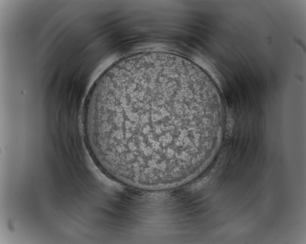 X0000098041090200804251034