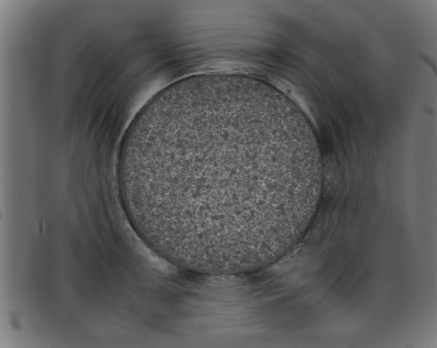 X0000098041091200804251034