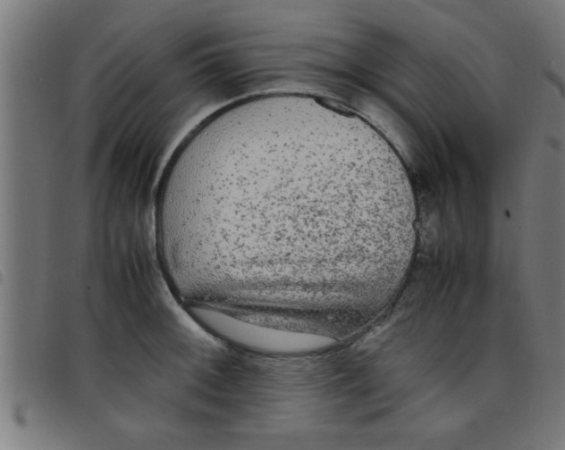 X0000098041092200804251034