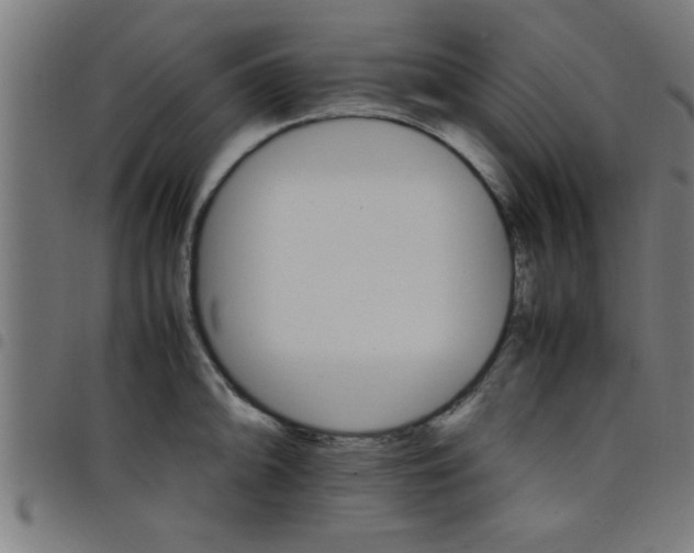 X0000098041094200804251034