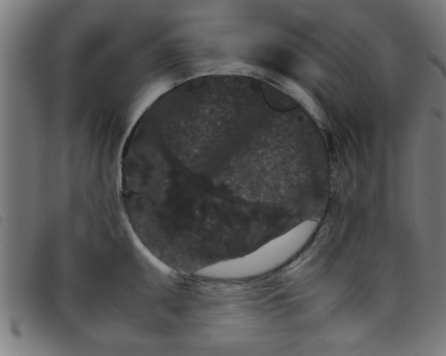 X0000098041095200804251034