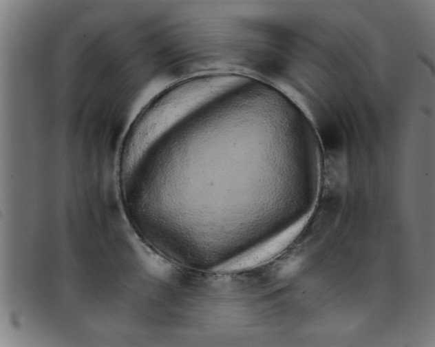 X0000098041098200804251034