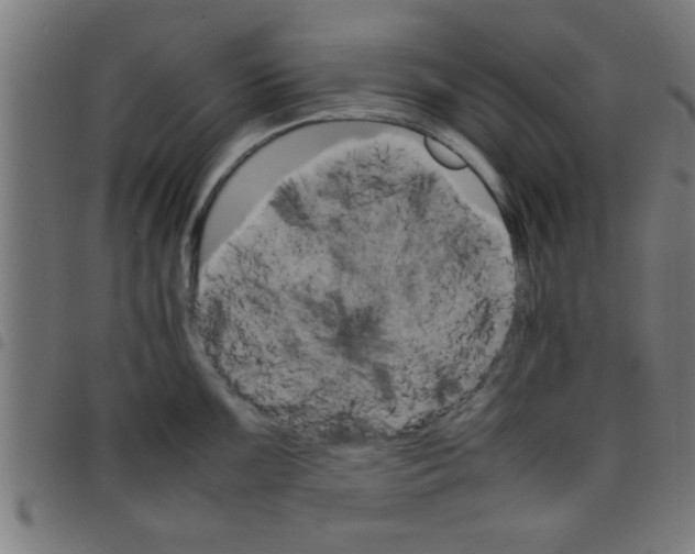 X0000098041099200804251034