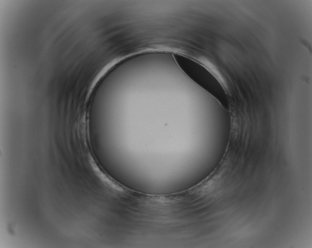 X0000098041100200804251034