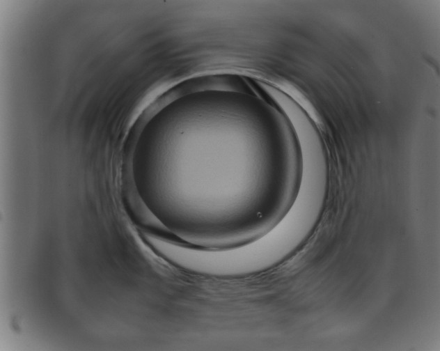 X0000098041101200804251034