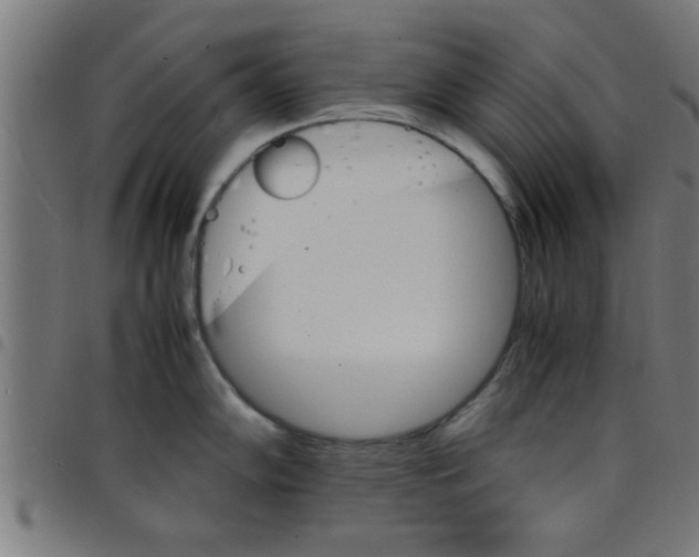 X0000098041102200804251034