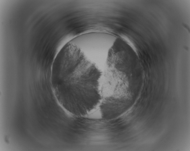 X0000098041103200804251034