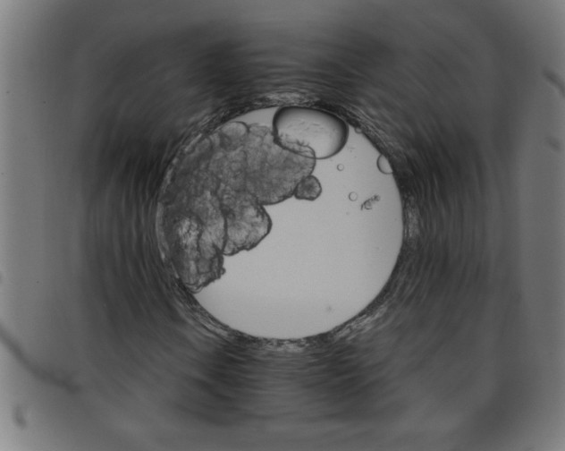 X0000098041106200804251033