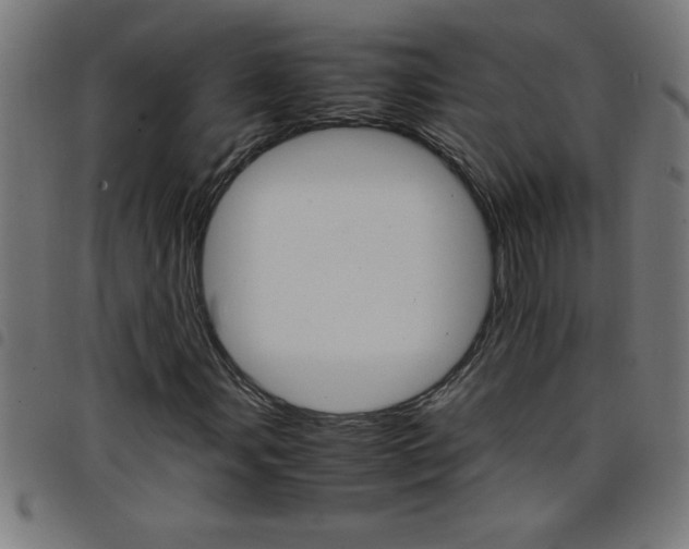 X0000098041107200804251033