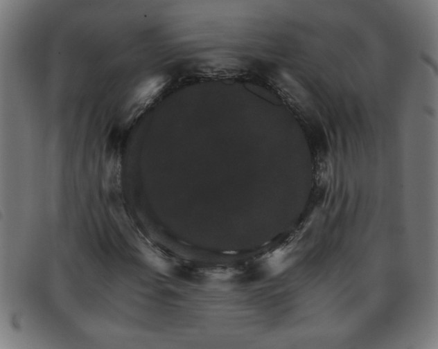 X0000098041108200804251033