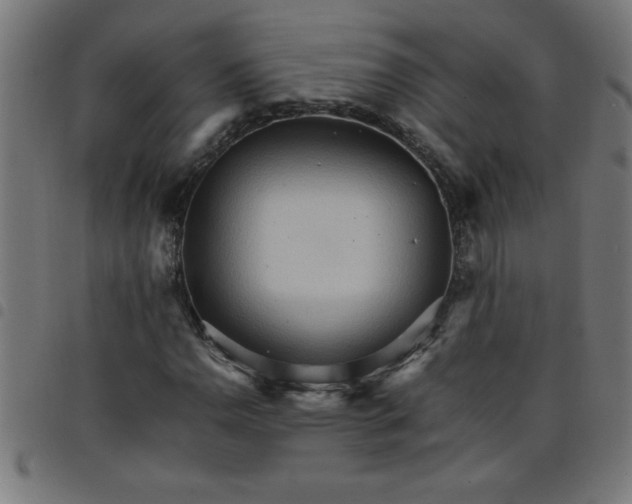 X0000098041110200804251033