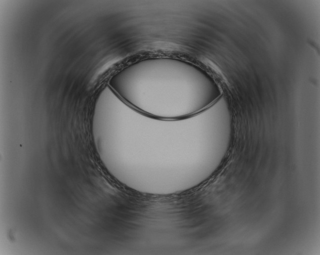 X0000098041112200804251033