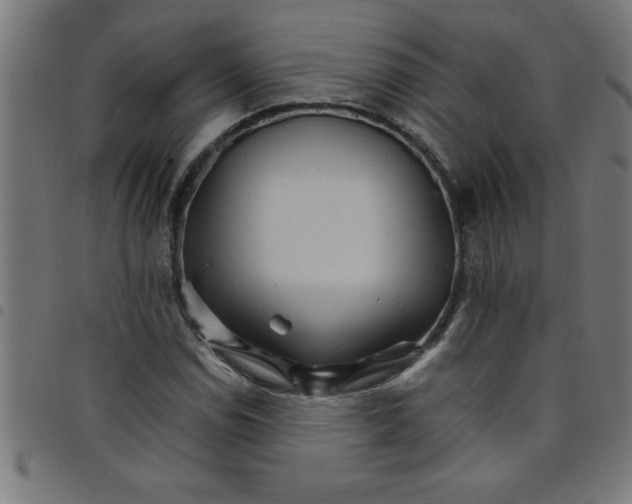 X0000098041114200804251033